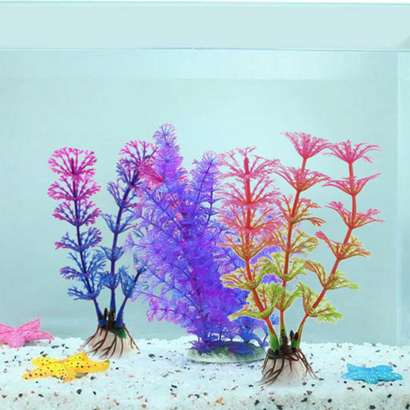 Aquatic Plants Aquarium