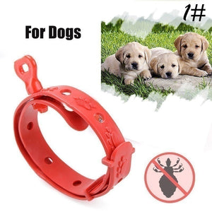 Plastic Dog Collar