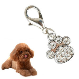 Metal Dog Tag Keychain